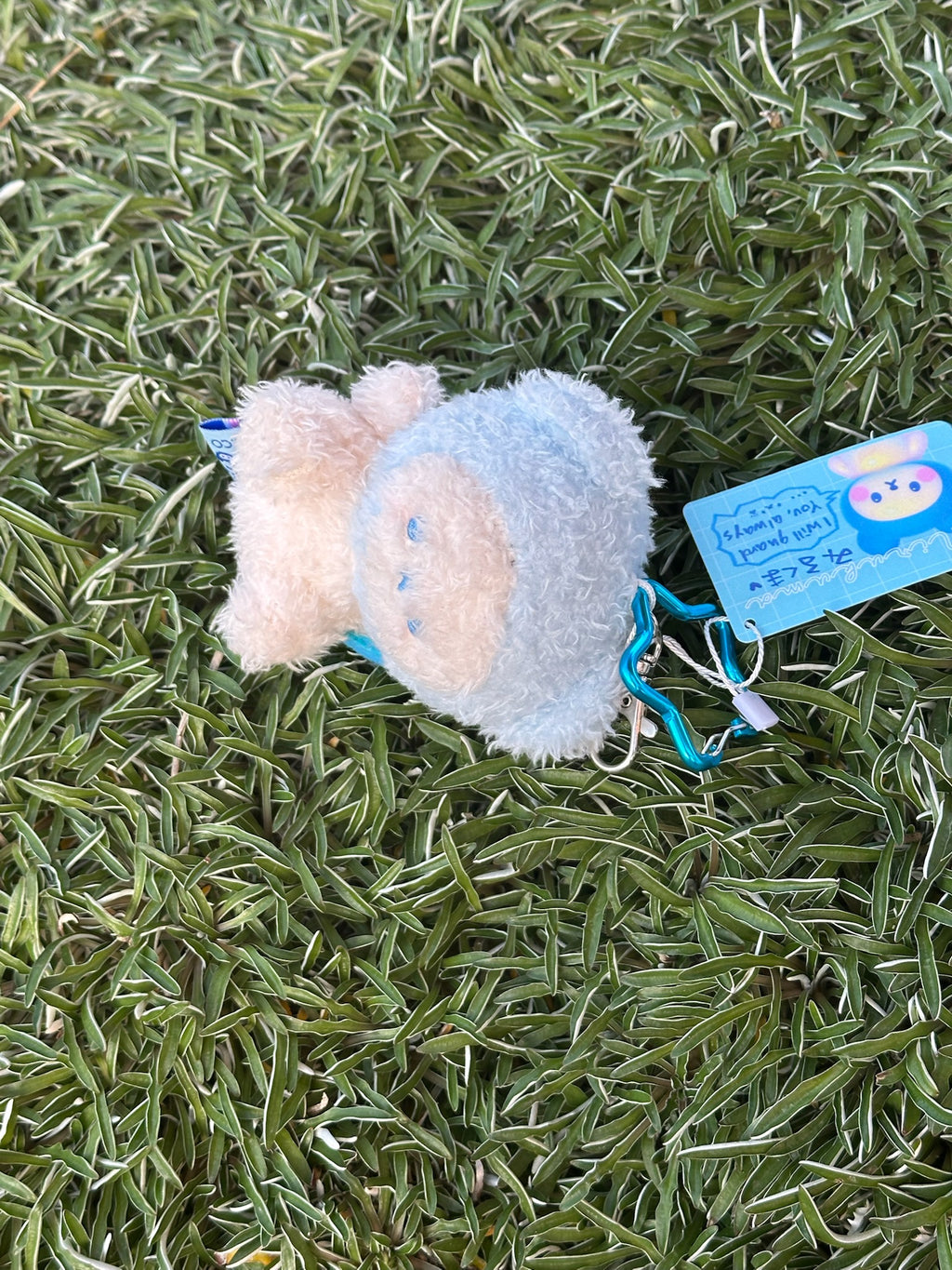 Mirukuma Piercing Plushie ‧˚꒰🐾୭